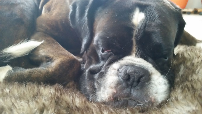 Benny