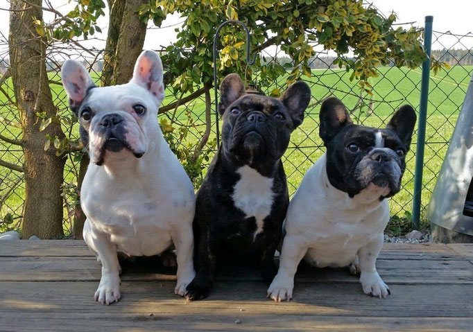 Lilly, Betty und Lola