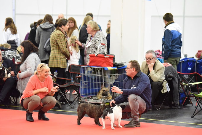 CACIB Nürnberg 2018
