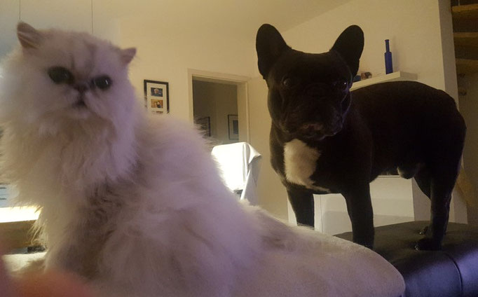 Black Cooper mit Freundin