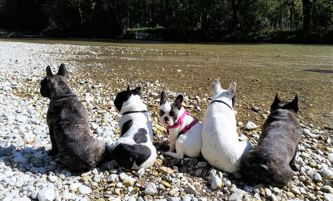 Ausflug an die Isar