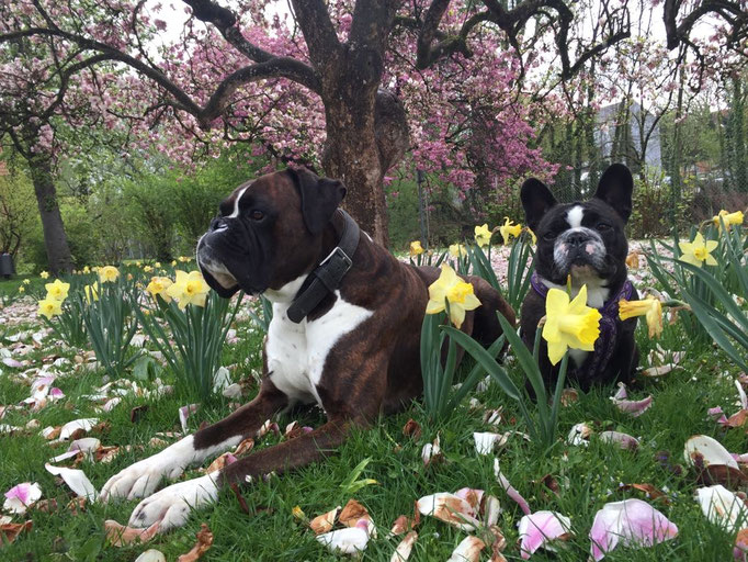 Ignaz und Baroness Franzi