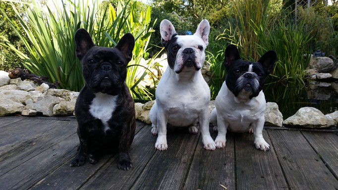 Betty, Lilly und Lola