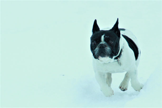 Lola