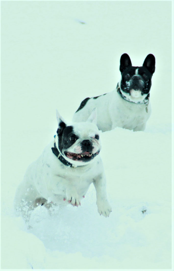 Lilly und Lola