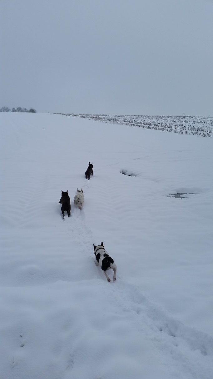 Februar 2018