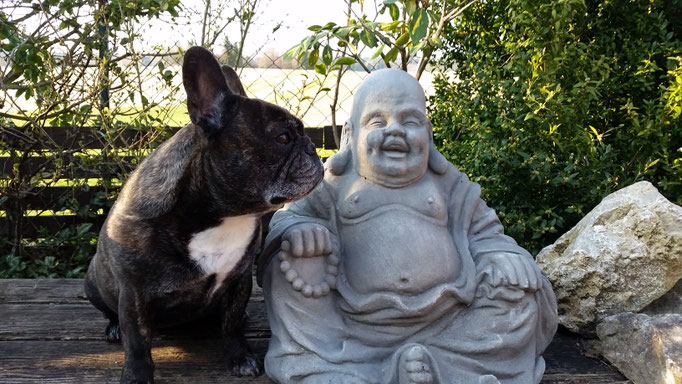 Betty und der Buddha