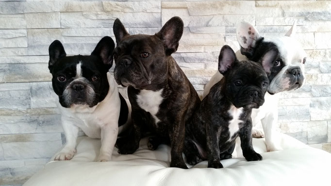 Lola, Betty, Paula und Lilly