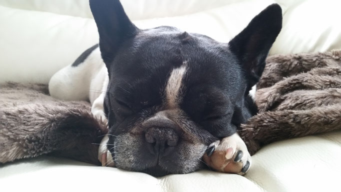 Lola