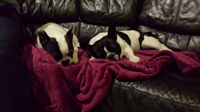 Wochenende bei Mama (Belou und Lola)