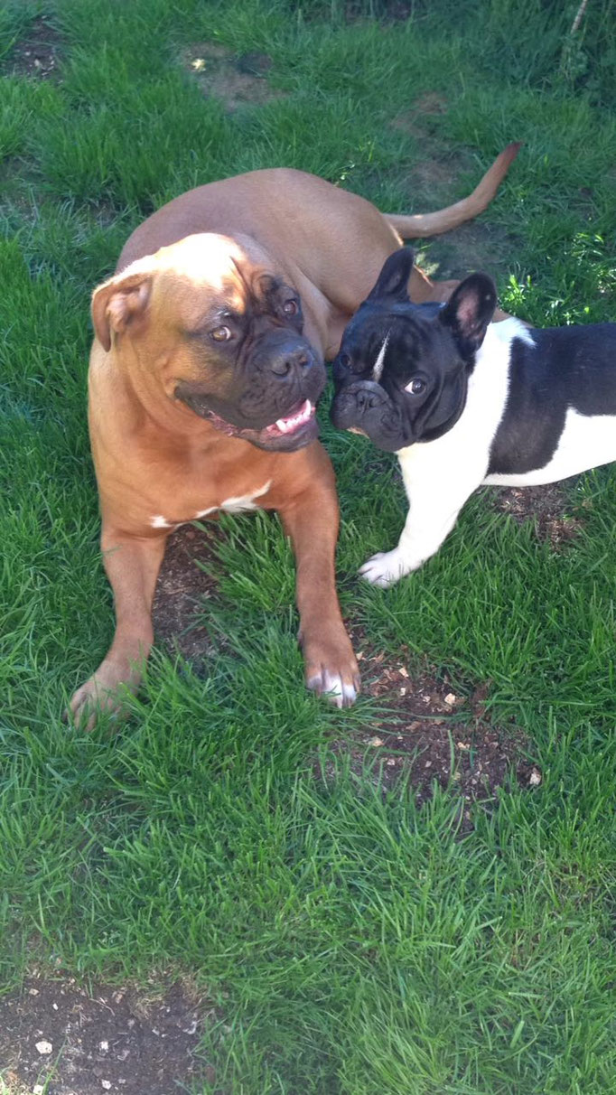 Chaccomo und seine Freundin Mona