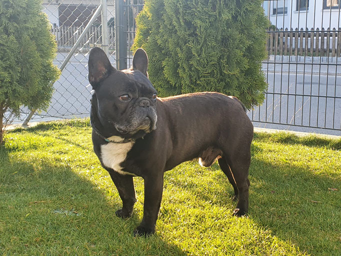 Black Cooper