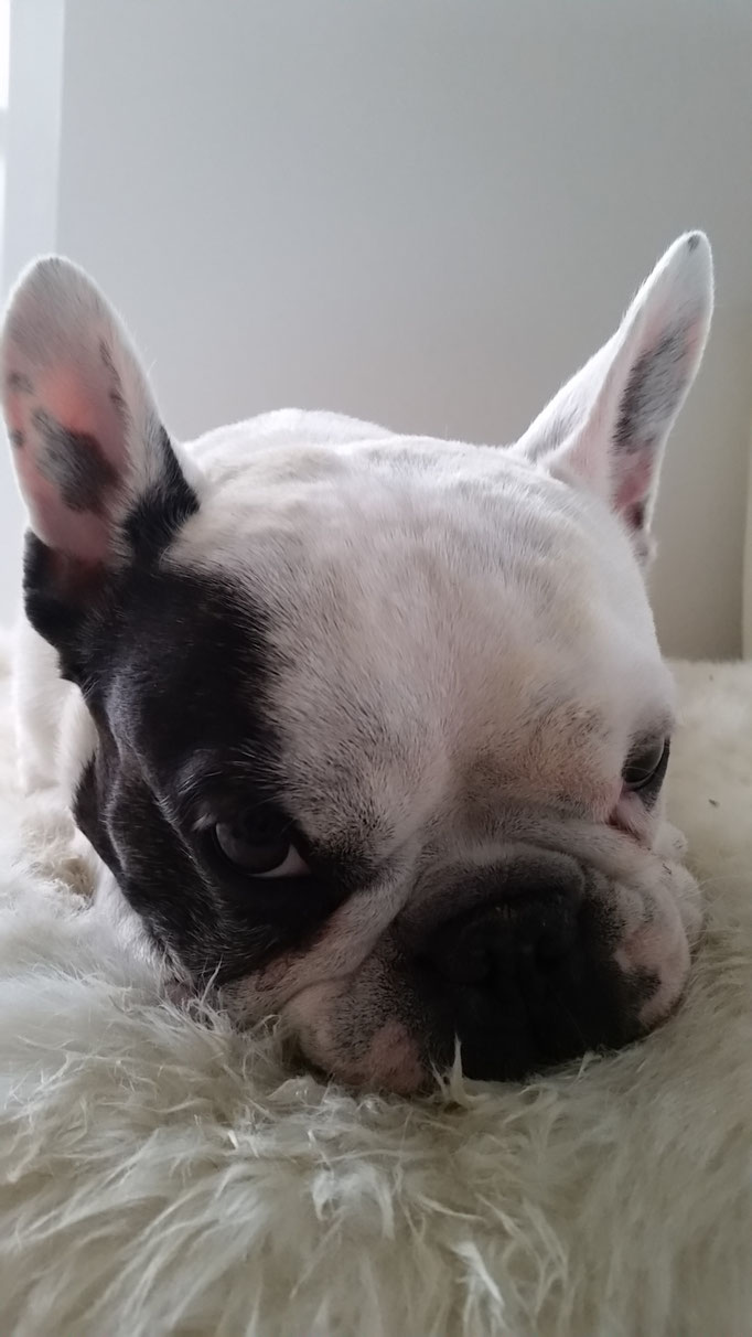 Lilly an ihrem 8ten Geburtstag