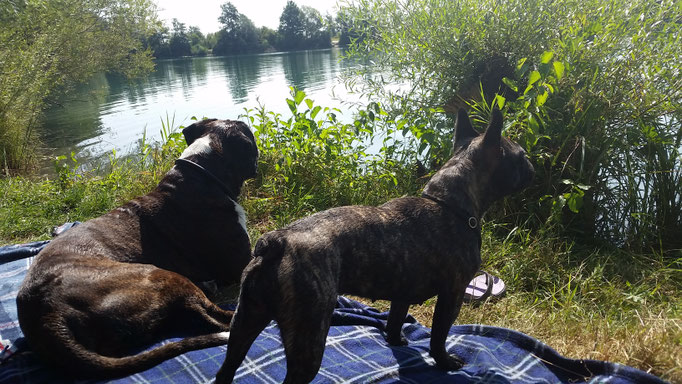 den Sommer am Badestrand genießen