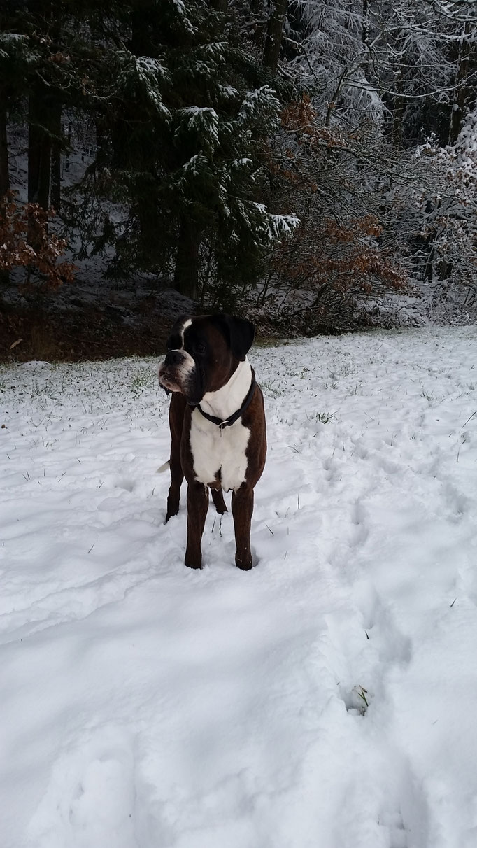 Februar 2018 - Benny