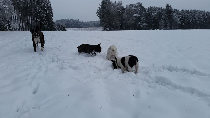 Februar 2018