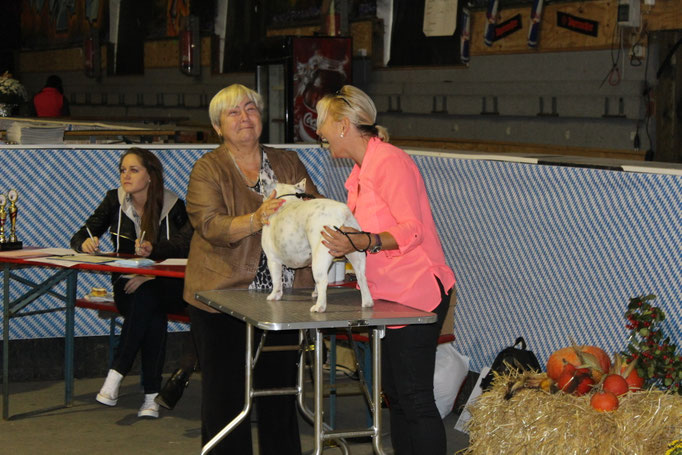 Laberweinting 10/2014