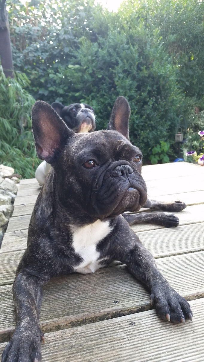Paula und Lola