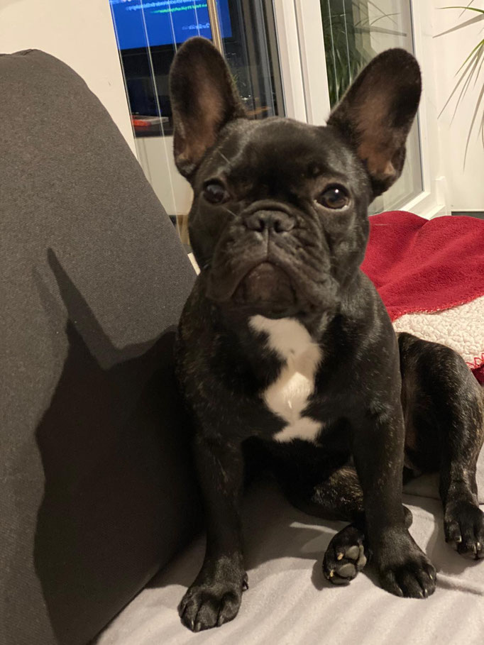 Eloise