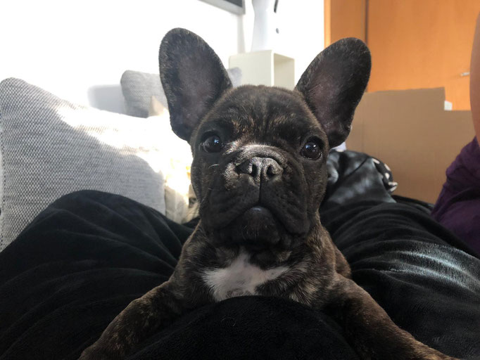 De Nera