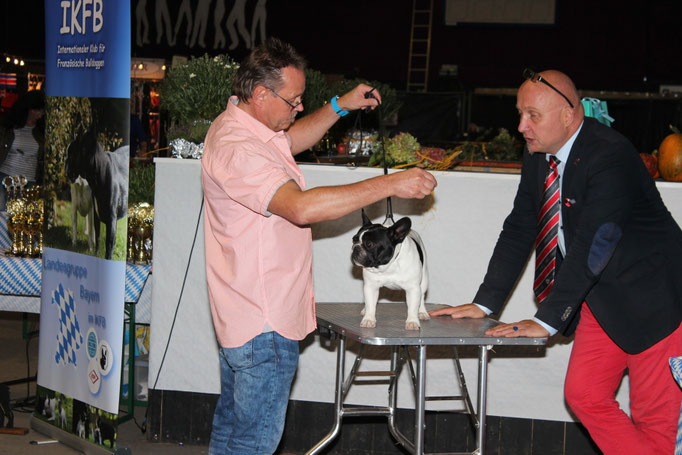Laberweinting 2015