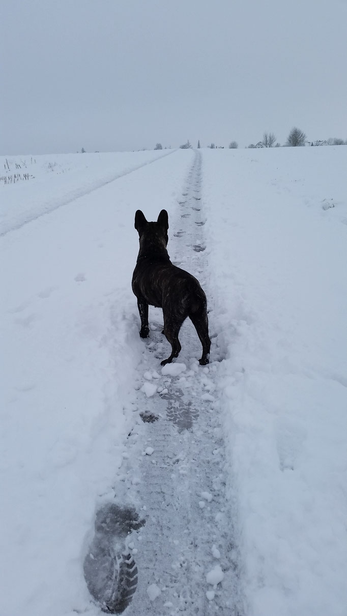 Februar 2018 - Paula