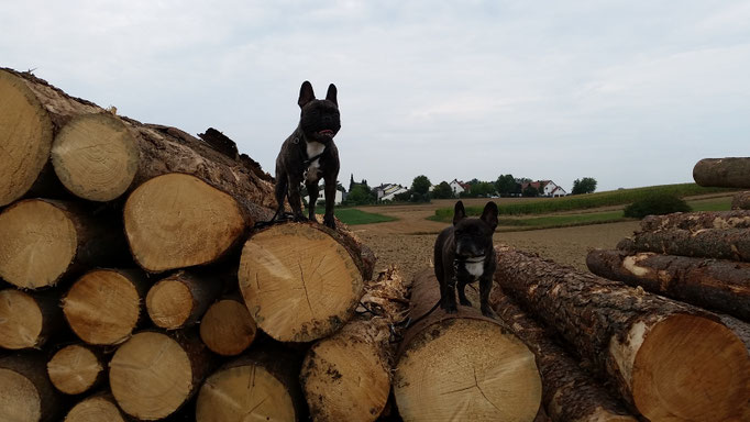 Paula und Betty