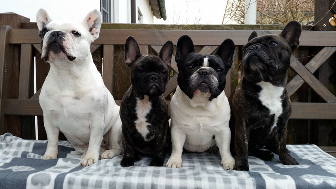 Lilly, Paula, Lola und Betty