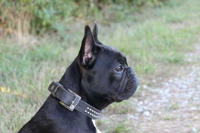 Black Cooper