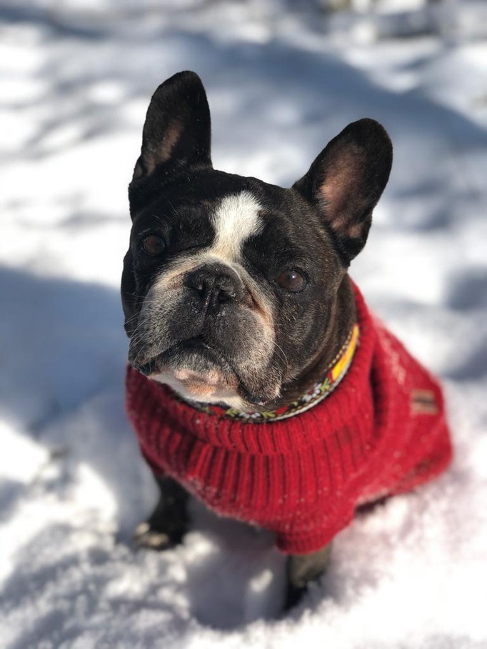 Baroness Franzi im Winteroutfit