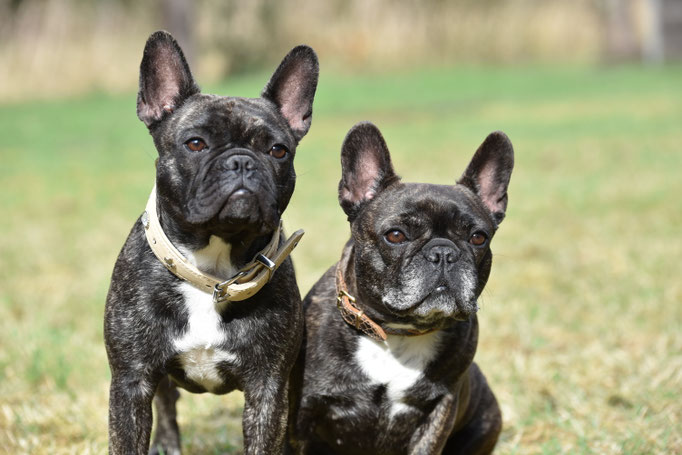 Paula und Betty - April 2018