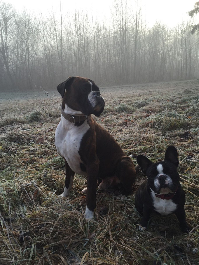 Baroness Franzi und ihr Bodyguard