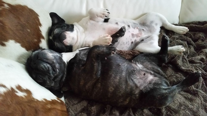 Lola und Betty