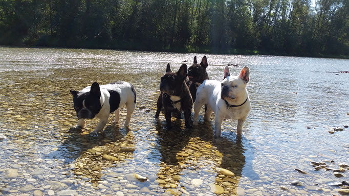 Ausflug an die Isar