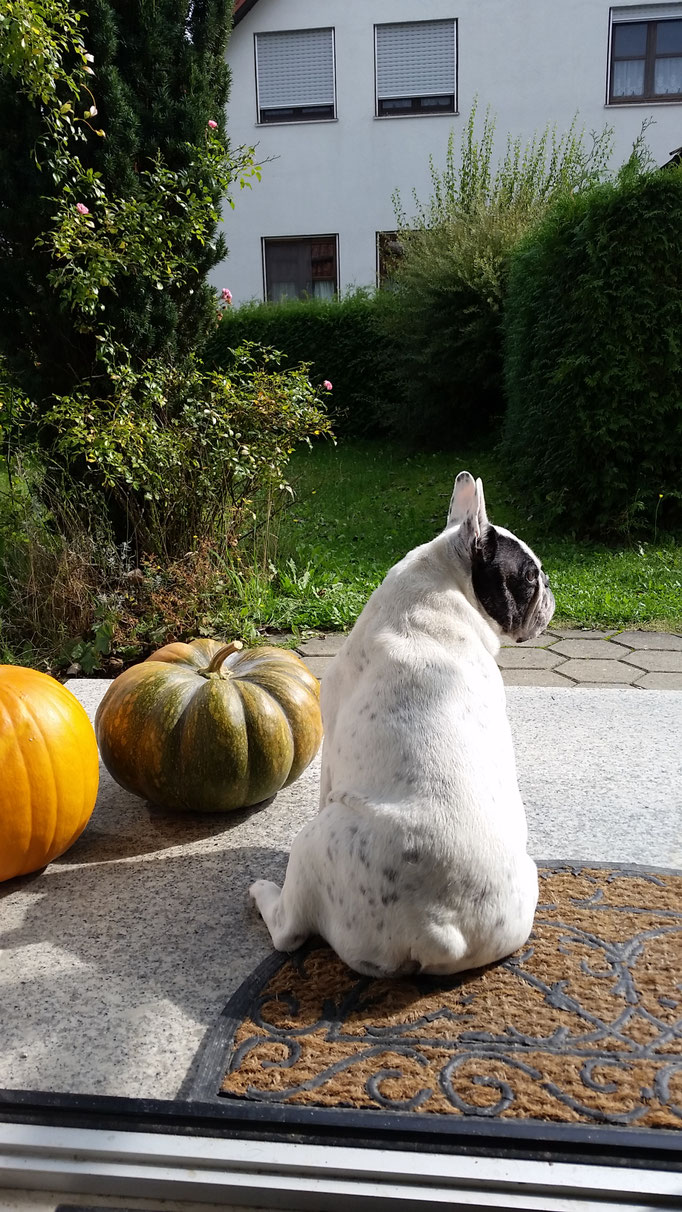 Oma Lilly
