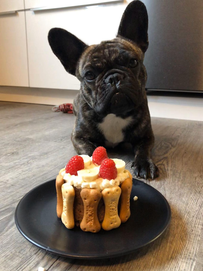 De Nera feiert ihren 1. Geburtstag