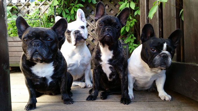 Betty, Lilly, Paula und Lola