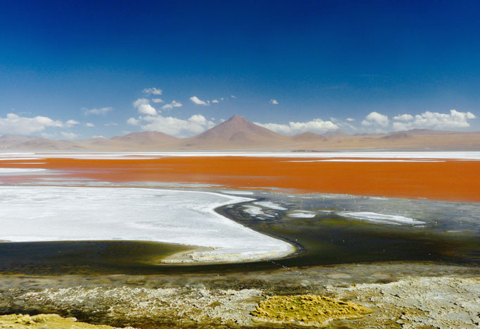 Laguna Colorado 1 Uyuni