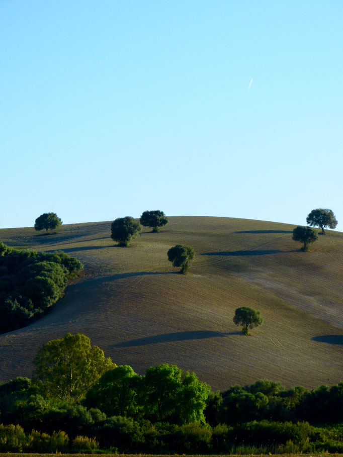 Andalusien