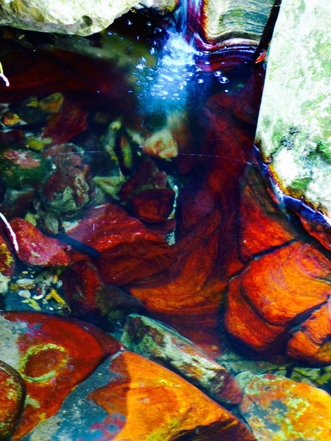 Carnarvon Gorge ,Felsen unter Wasser