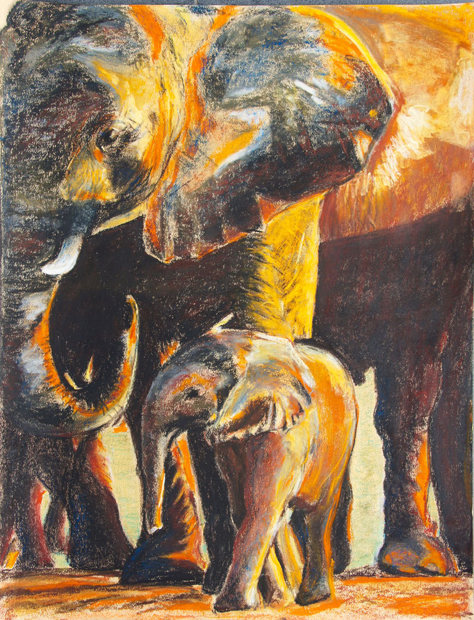 Pastellkreide 65x50 " Etoscha Elephant" 2010
