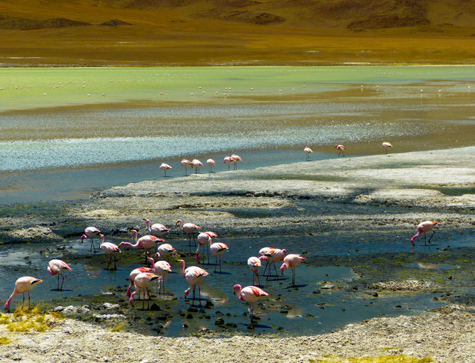 Salar de Uyuni 1