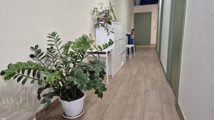 Nuestro centro - Neurofamily
