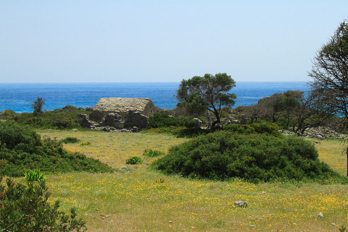 La baie de Lyssos