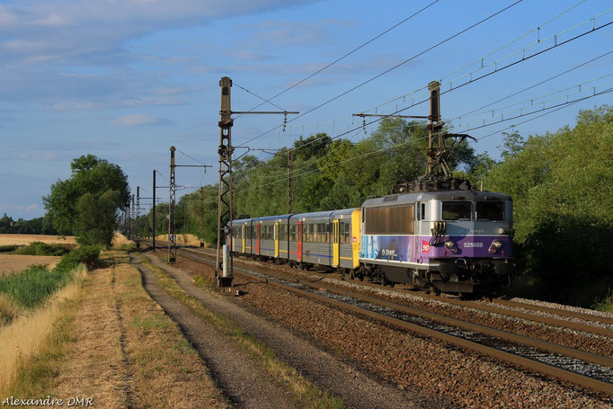 BB 25688 en tête d'une RRR sur la relation Dijon Ville-Chalon sur Saône. Meursault, 30 Juin 2014