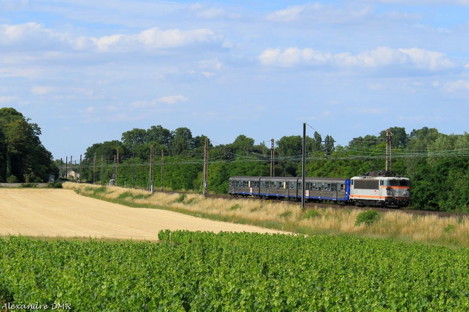 BB 25653 sur un TER à Destination de Chalon sur Saône. Vougeot, 1er Juillet 2014