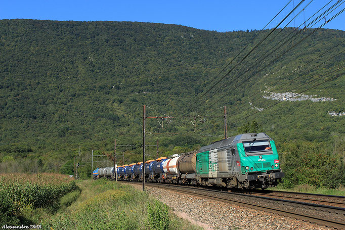 BB 75433 sur un train de desserte fret locale dans la vallée de l'Albarine. Artemare, 12 Septembre 2014