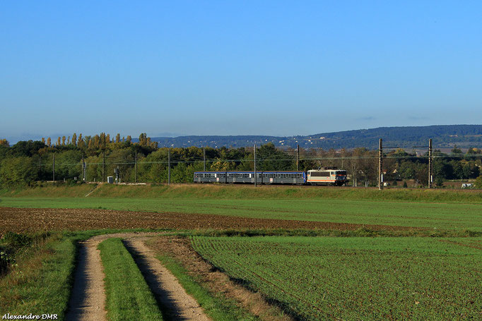 BB 25641 et sa RRR n°04 sur un TER Reliant Chalon sur Saône à Dijon Ville. Corgoloin, 18 Octobre 2014