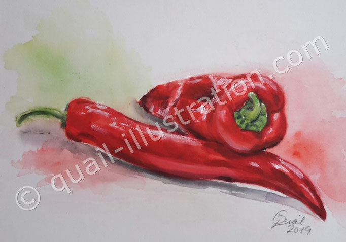 Paprika in Acryl, Privatbesitz