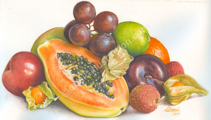 Obsstilleben Gouache, Privatbesitz
